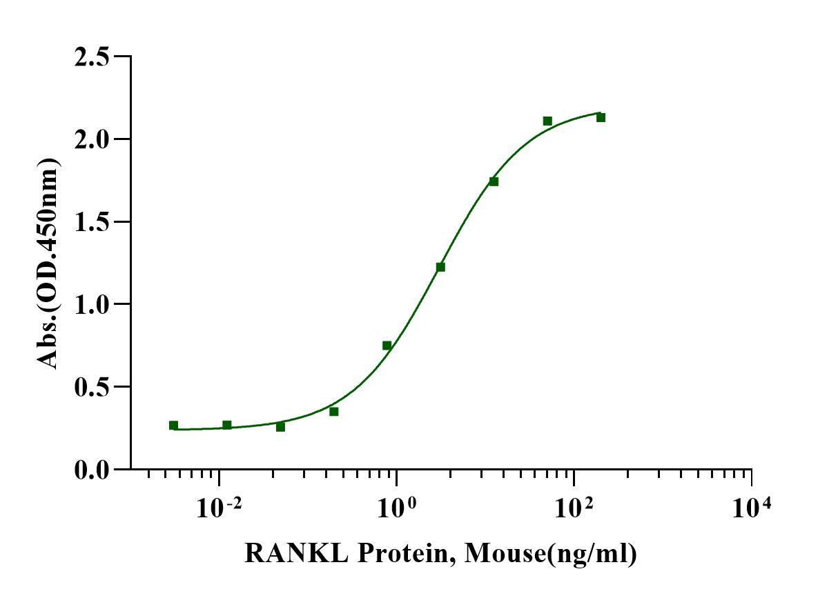 TNFSF11/RANKL Fc Chimera Protein, Human