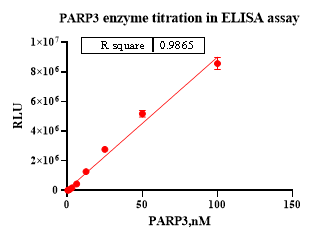 PARP3, GST Tag Protein