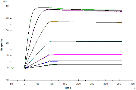 ACVR2A Fc Chimera Protein, Human