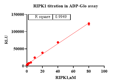 RIPK1 Protein