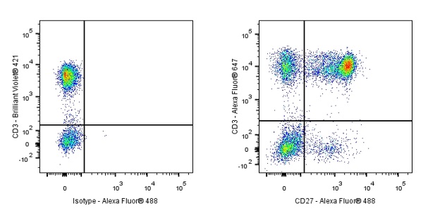 Rabbit Anti-Human CD27 Antibody (S-1205-49)