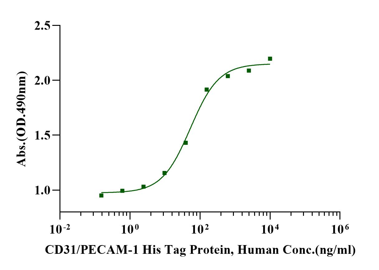 CD31/PECAM-1 His Tag Protein, Human