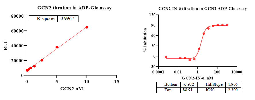GCN2 Protein, Human