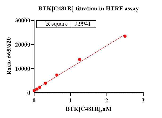 BTK[C481R] Protein