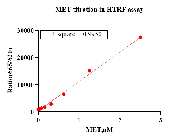 MET Protein