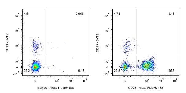 Mouse Anti-Human CD28 Antibody (S-R495)