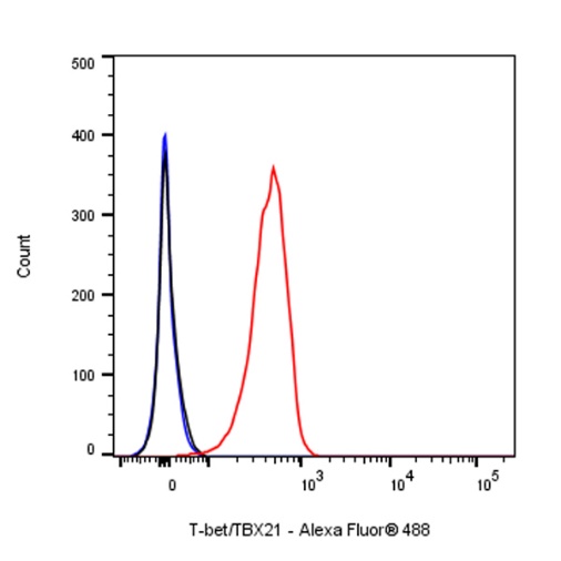 T-bet/TBX21 Recombinant Rabbit mAb (S-583-54)