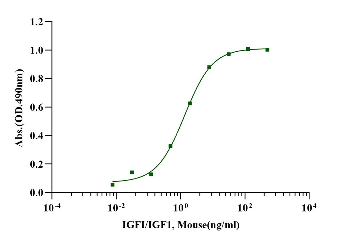 IGF-I Protein, Mouse