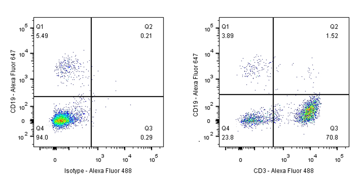NA/LE Mouse anti-human CD3 mAb