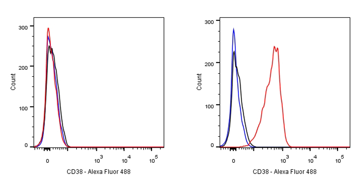 CD38 Recombinant Rabbit mAb (Alexa Fluor® 488 conjugate) (SDT-031-45-2)