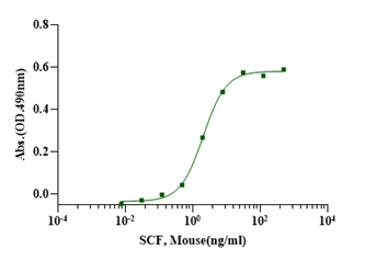 SCF Protein, Mouse