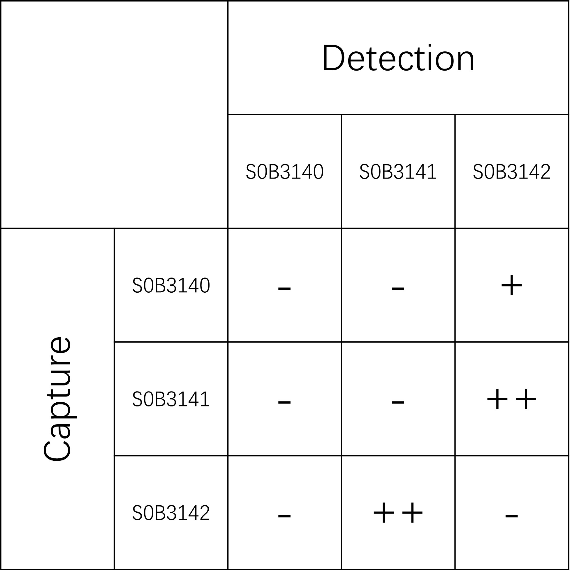 sFlt-1 Recombinant Rabbit mAb (SDT-233-26)