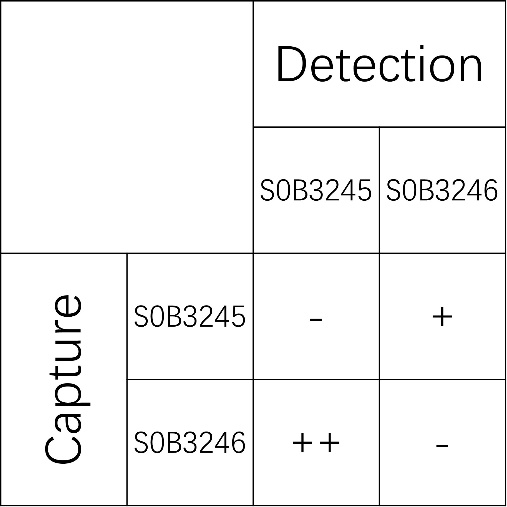 PCSK9 Recombinant Rabbit mAb (SDT-424-252)