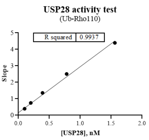 USP28 Protein