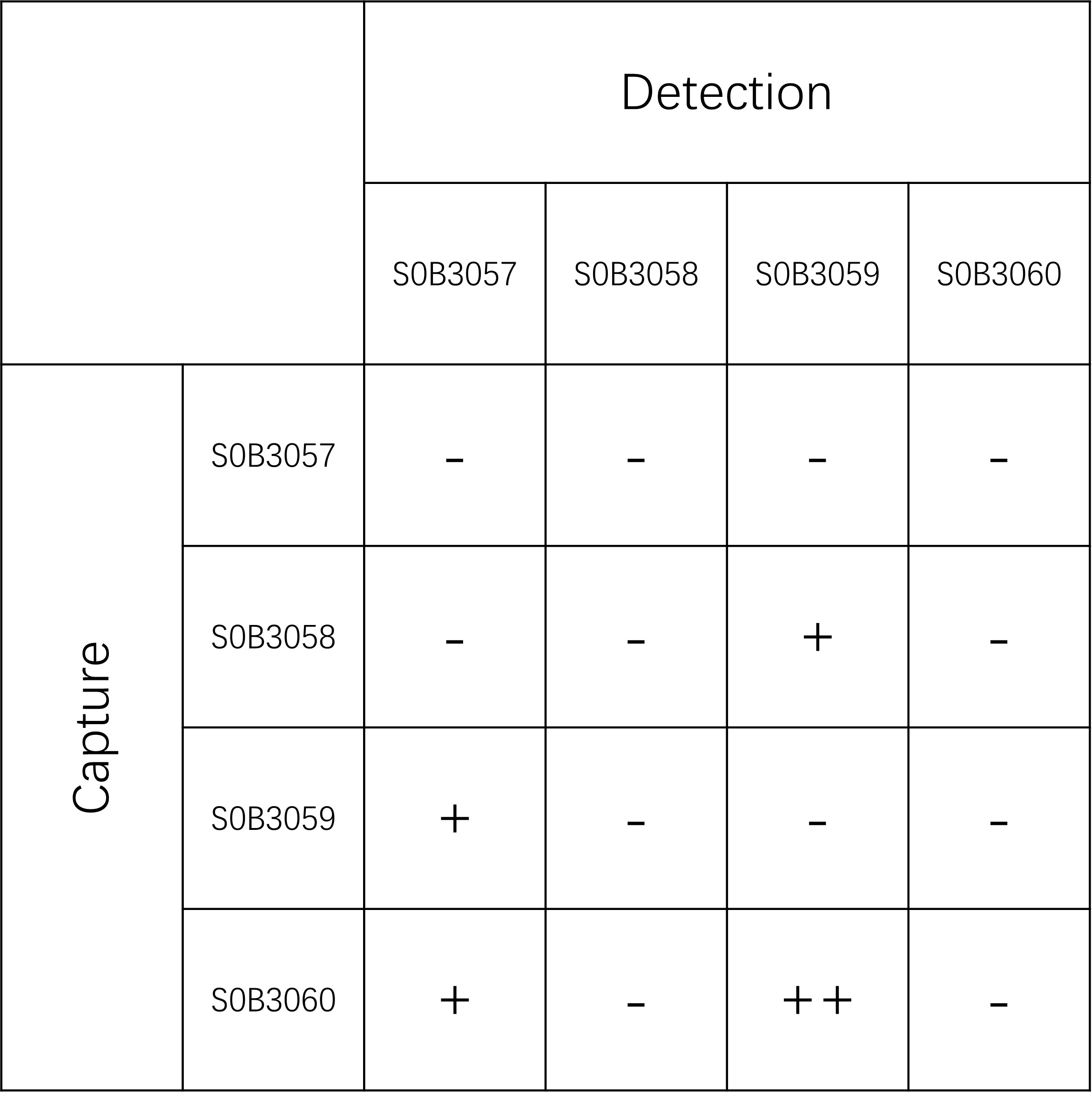 Tau Recombinant Rabbit mAb (SDT-171-16)