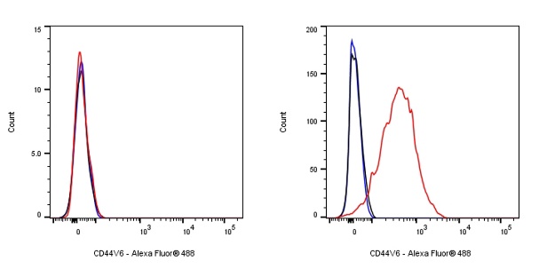 CD44v6 Recombinant Rabbit mAb (S-944-13)