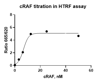 cRAF, GST Tag Protein