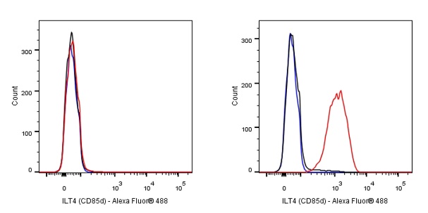 Goat Anti-Rabbit IgG (H+L), F(ab')2 Fragment (Alexa Fluor® 488 Conjugate)