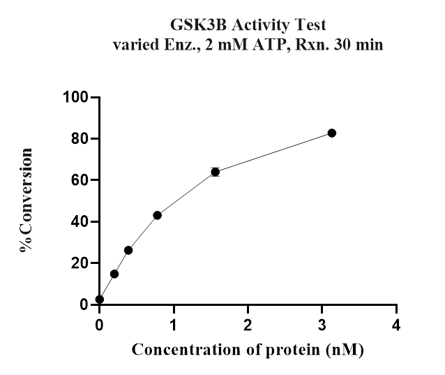GSK-3β Protein