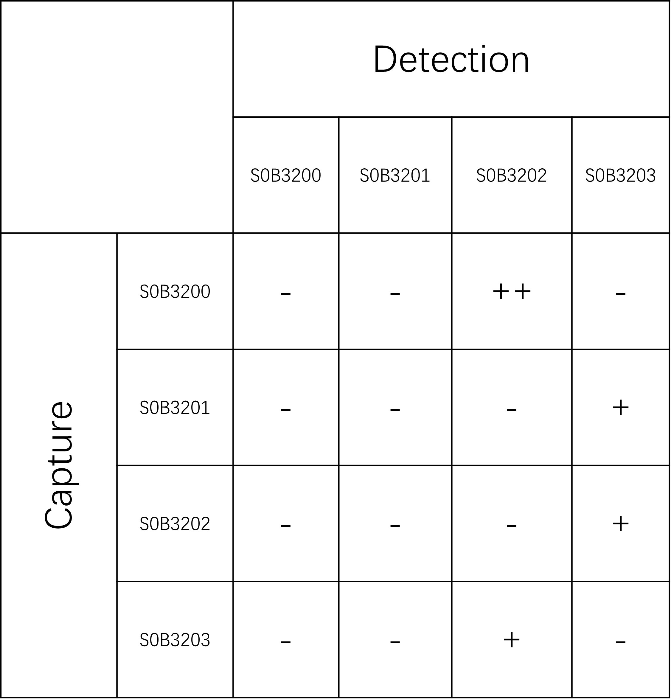Feline Immunodeficiency Virus (FIV p24) Recombinant Rabbit mAb (SDT-562-23)