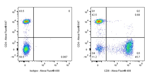 S-RMab® CD8α Mouse mAb (SDT-1036-34)