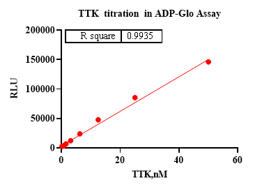 TTK Protein