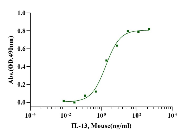 IL-13 Protein, Mouse