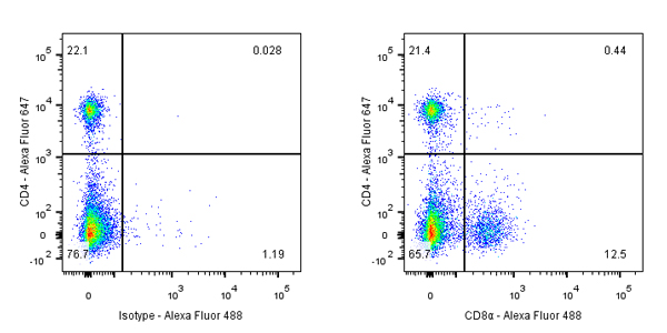 CD8α Recombinant Rabbit mAb (Alexa Fluor® 488 Conjugate) (SDT-142-52)