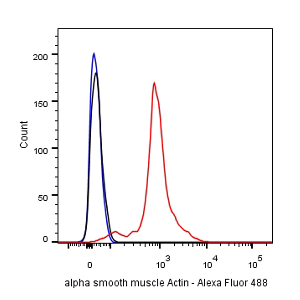 alpha smooth muscle Actin Recombinant Mouse mAb (SDT-R142)