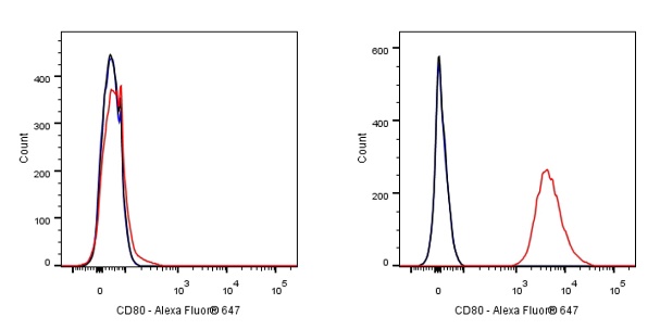 Alexa Fluor® 647 Rabbit Anti-Human CD80 Antibody (S-288-177)