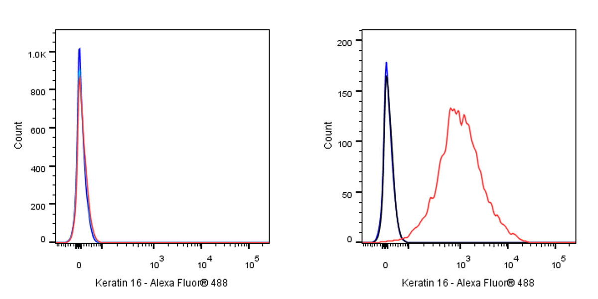 Keratin 16 Recombinant Rabbit mAb (S-R306)