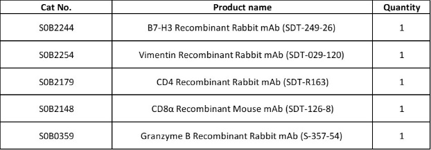B7-H3, Vimentin, CD8α, CD4, Granzyme B Antibody Panel