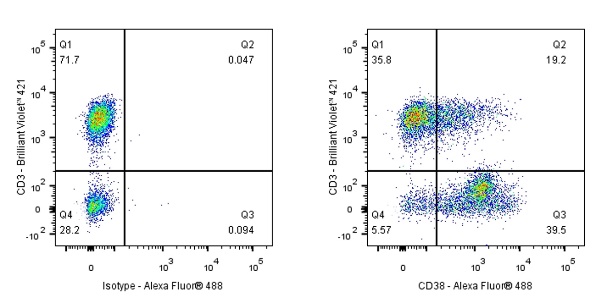 Mouse Anti-Human CD38 Antibody (S-R507-1)