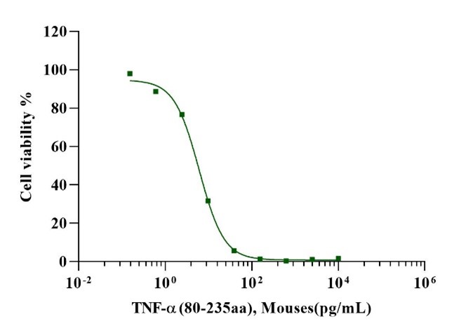 TNF-α(80-235aa) Protein, Mouse