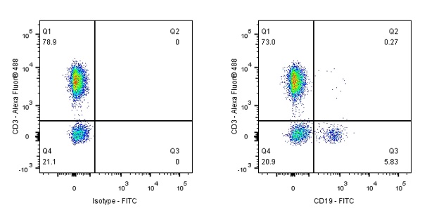 FITC Mouse Anti-Human CD19 Antibody (S-1039-46)