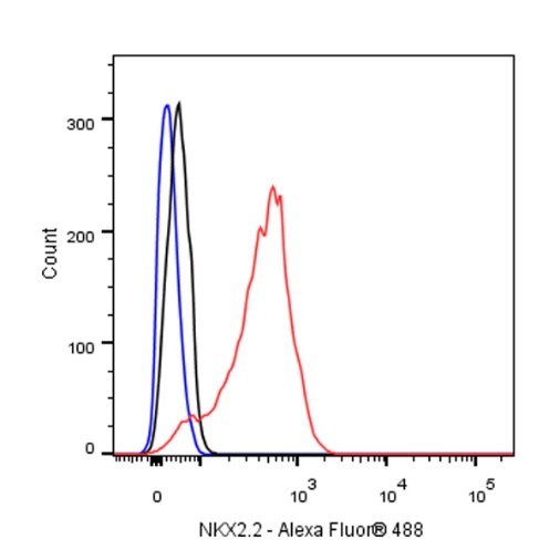 NKX2.2 Recombinant Rabbit mAb (SDT-898-41)