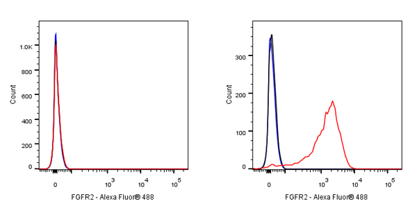 FGFR2 Recombinant Rabbit mAb (S-R239)