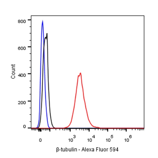 β-tubulin Recombinant Rabbit mAb (Alexa Fluor® 594 Conjugate) (S-312-113)