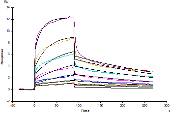 CD7 His Tag Protein, Mouse