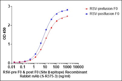 RSV-pre F0 & post F0 (SiteⅡ epitope) Recombinant Rabbit mAb (S-R375-3)