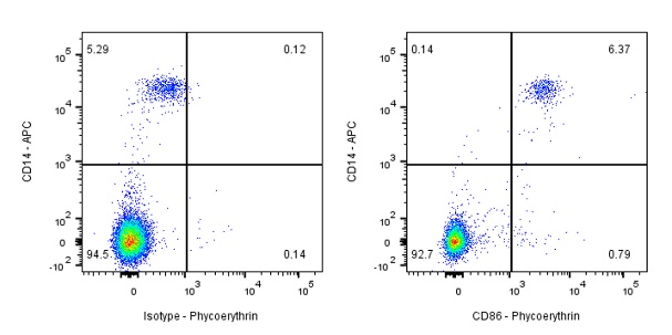 PE Rabbit Anti-Human CD86 Antibody (S-990-1)