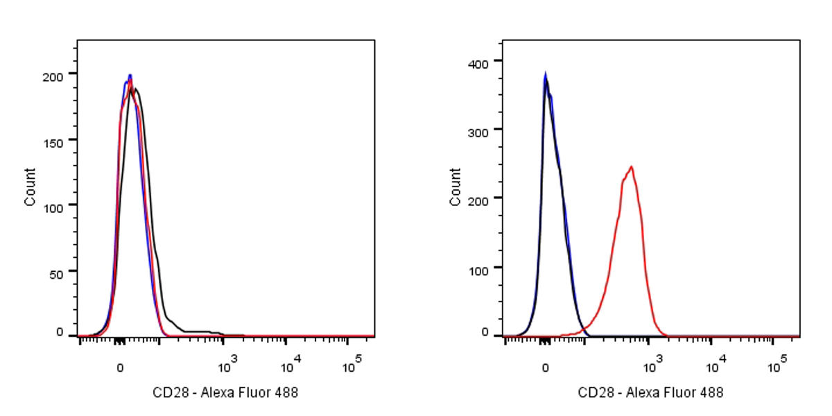 Alexa Fluor® 488 Mouse Anti-Human CD28 Antibody (15E8)