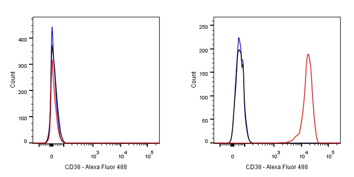 S-RMab® CD38 Recombinant Rabbit mAb (SDT-031-45-2)
