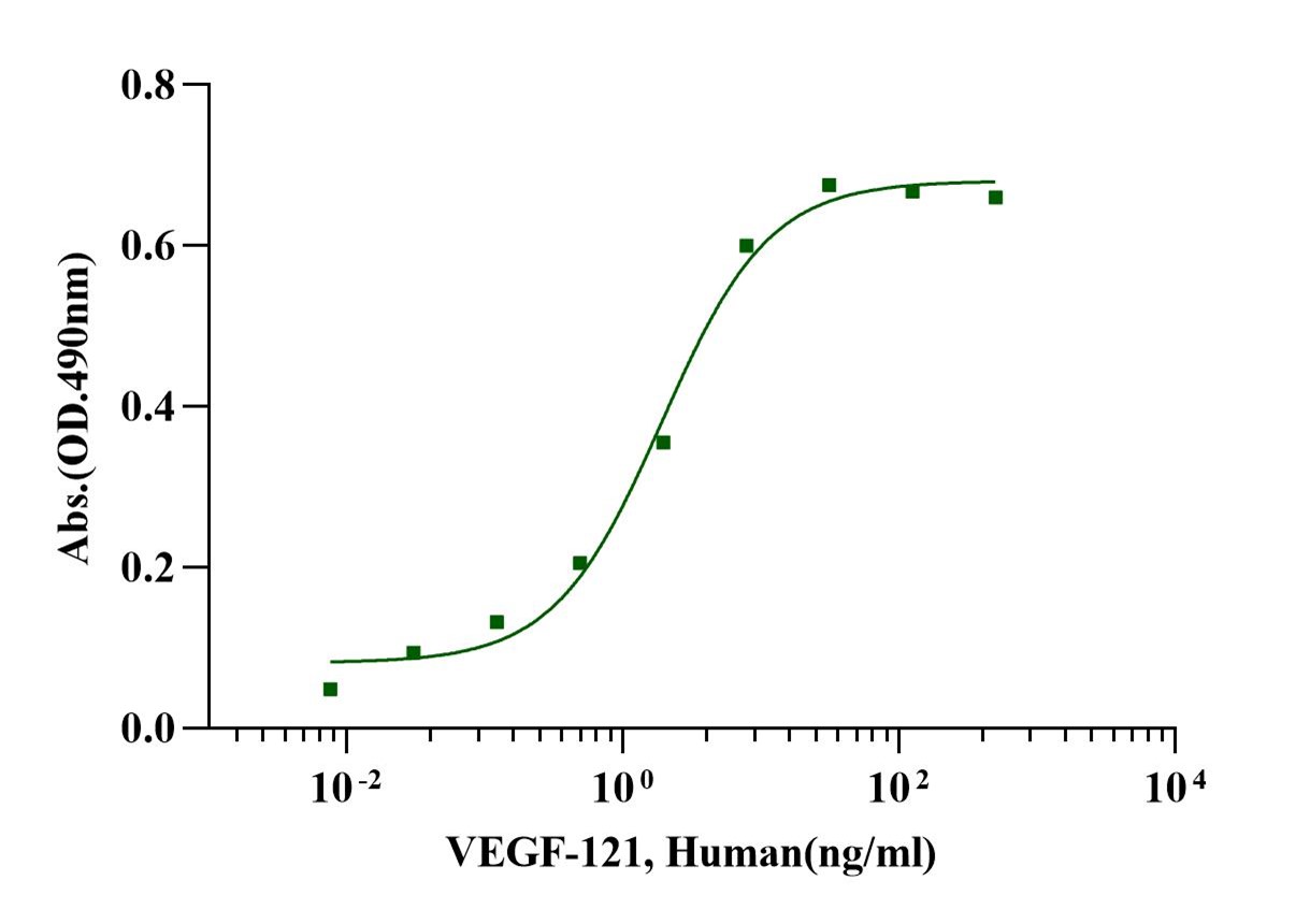 VEGF-121 Protein, Human