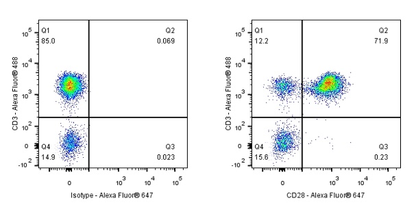 Alexa Fluor® 647 Mouse Anti-Human CD28 Antibody (S-714-76)