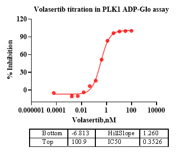 PLK1 Protein