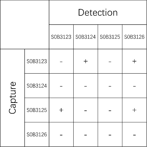 Haptoglobin Recombinant Rabbit mAb (SDT-339-45)