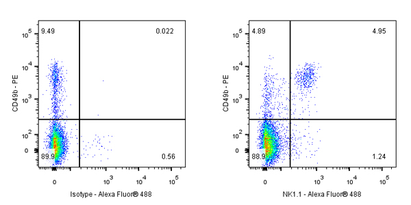 NK1.1/CD161 Recombinant Rabbit mAb (S-428-32)
