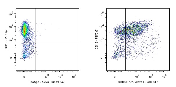 Rat Anti-Mouse CD86/B702 Antibody (S-R434)