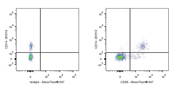 Alexa Fluor® 647 Rabbit Anti-Human CD86 Antibody (S-990-1)